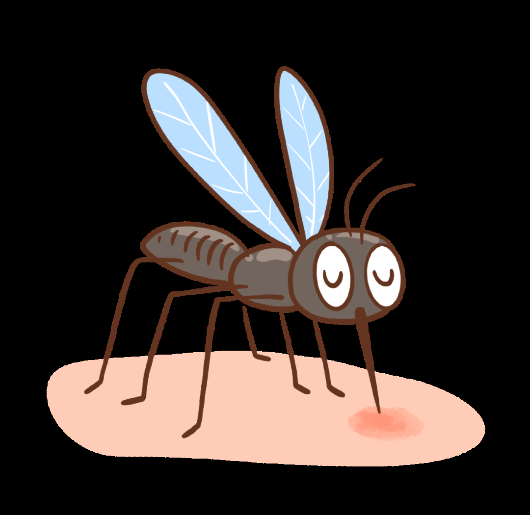 蚊子与黑眼圈:走进科学的误区澄清