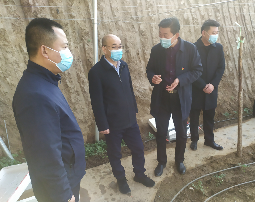 刘亨调研金城办基层党建和乡村振兴工作