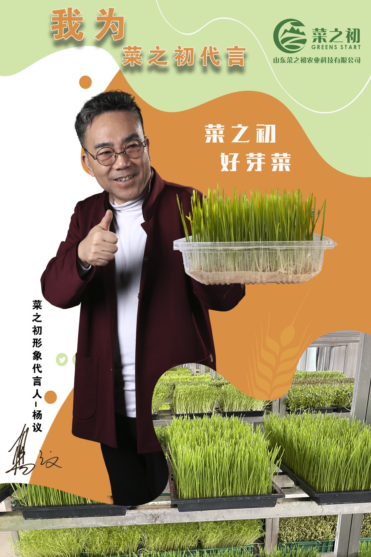 菜之初|100平方芽苗菜种植的投资与利润