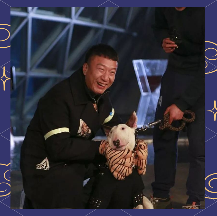 孙红雷与牛头梗的趣味相似之旅