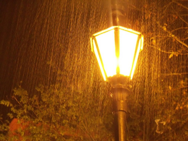 夜雨丨冷月:黄昏雨