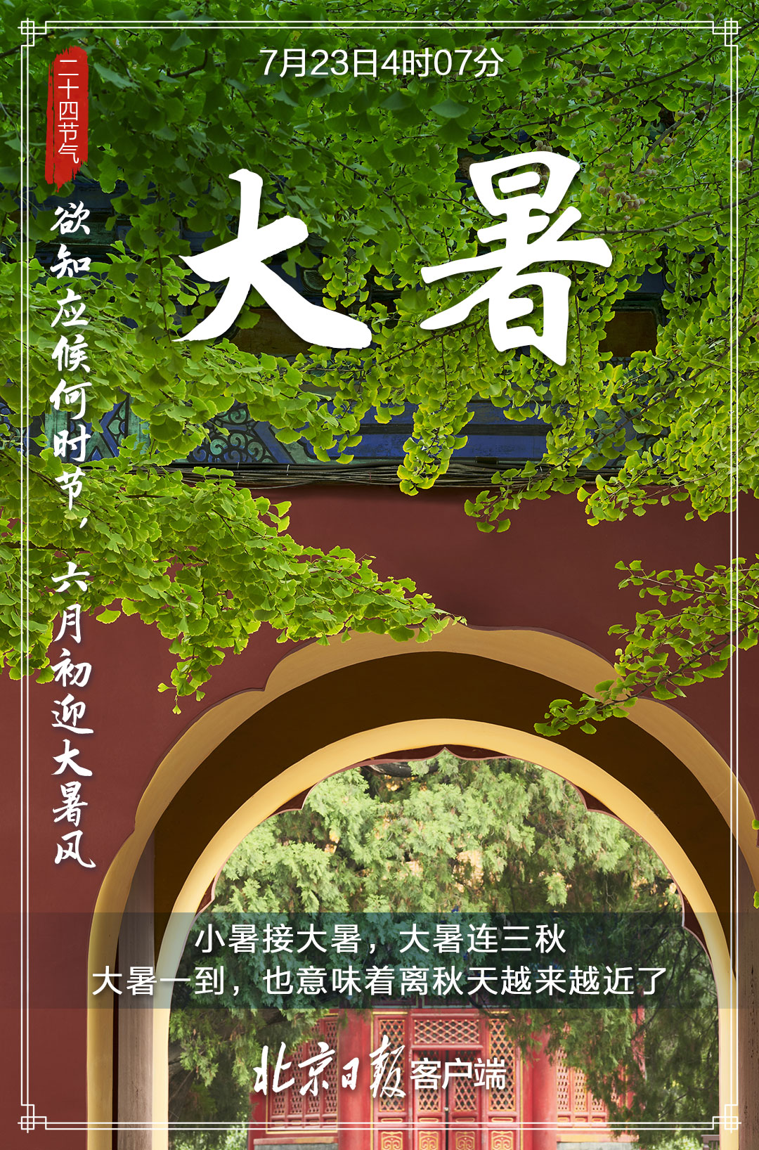 精美海报来袭今日大暑最热时期到来万物荣华