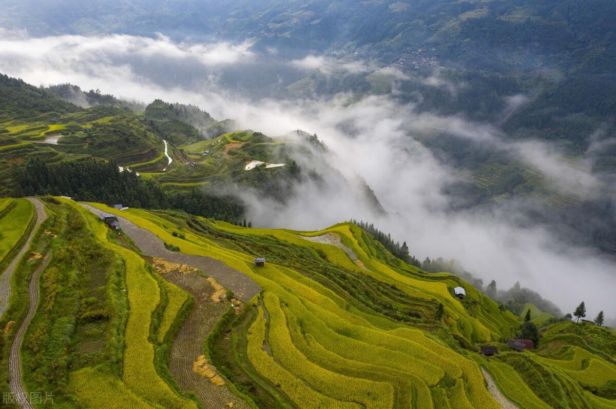 贵州从江云裳梯田"丰"景如画