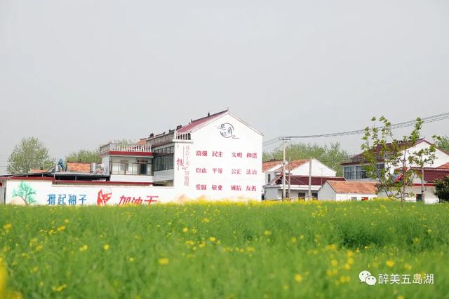 南集镇皂角村:开展人居环境整治,打造美丽示范乡村
