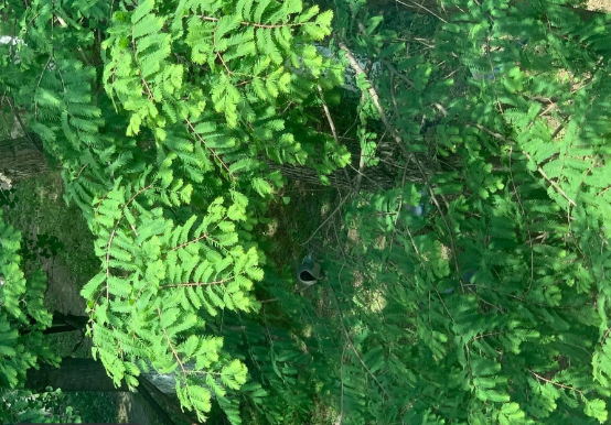 手绘打卡南博│钢笔速写│建筑速写