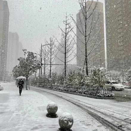 宿迁下雪图片