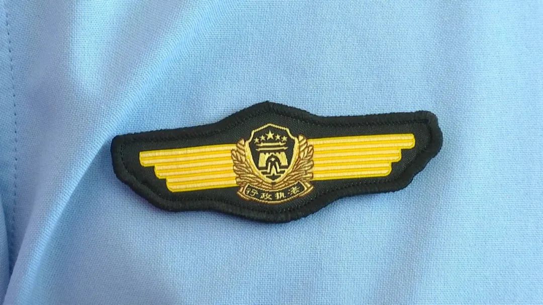 松枝以及"中华人民共和国文化市场执法"字样组成,臂章盾牌内图案由