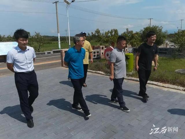 麻丘镇党委书记张向阳带队考察乡村振兴工作