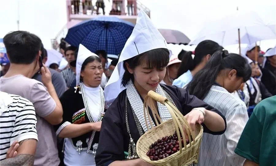 雲南哈尼族奕車姑娘節等你來(散文)