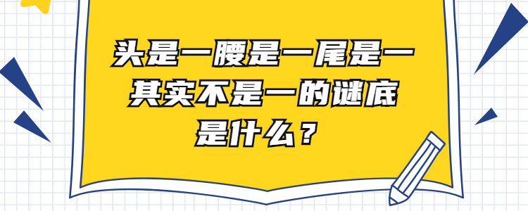 头是一腰是一尾是一其实不是一的谜底是什么?