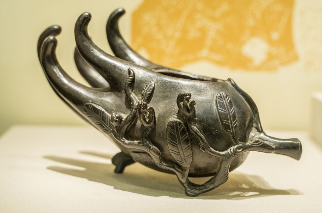 从"中国传统医药文物特展"发现中医之美