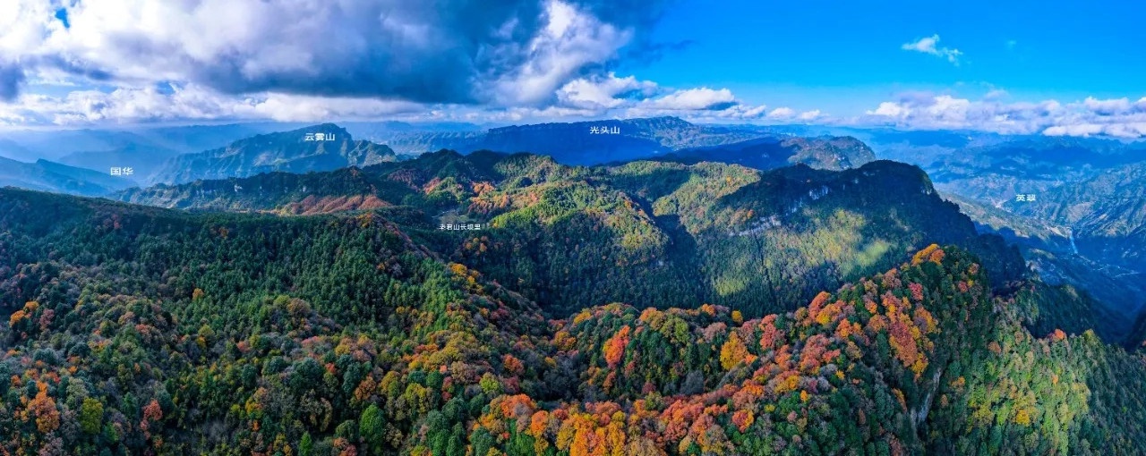 大美无言!旺苍国华镇山坪村万山"红"遍!