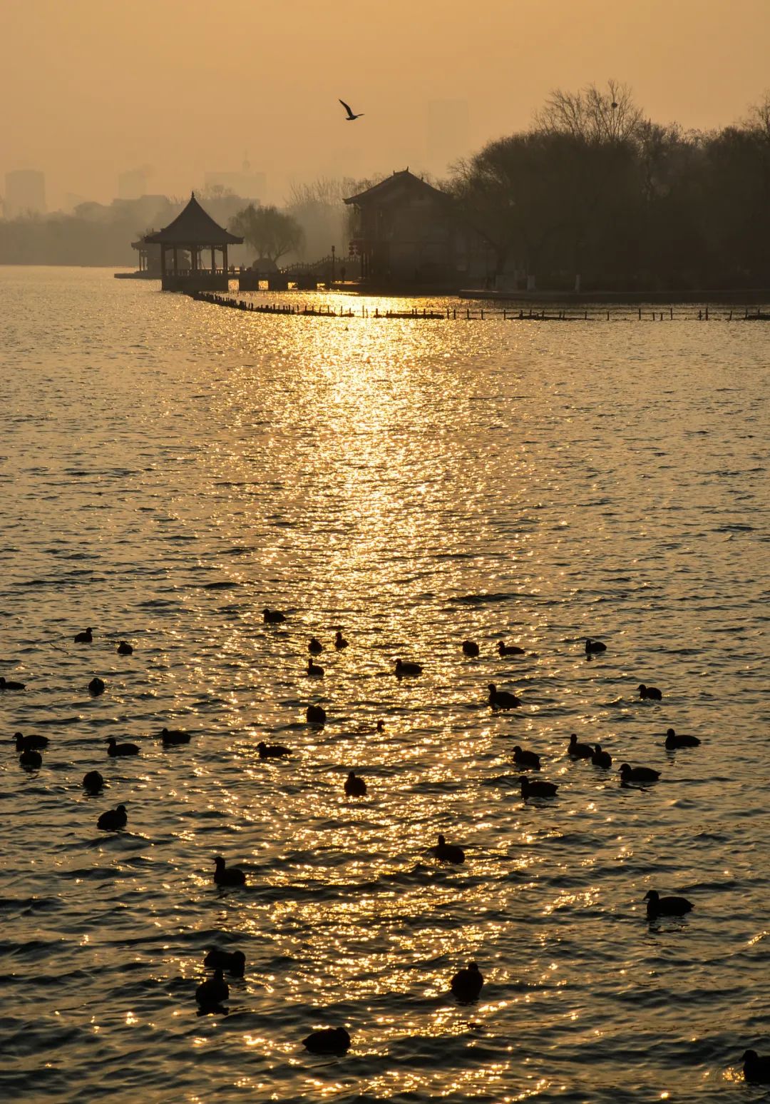 当课文中的"春和景明"走进大明湖