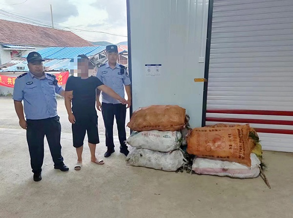 桓仁县局八里甸子派出所连续破获多起侵财类案件