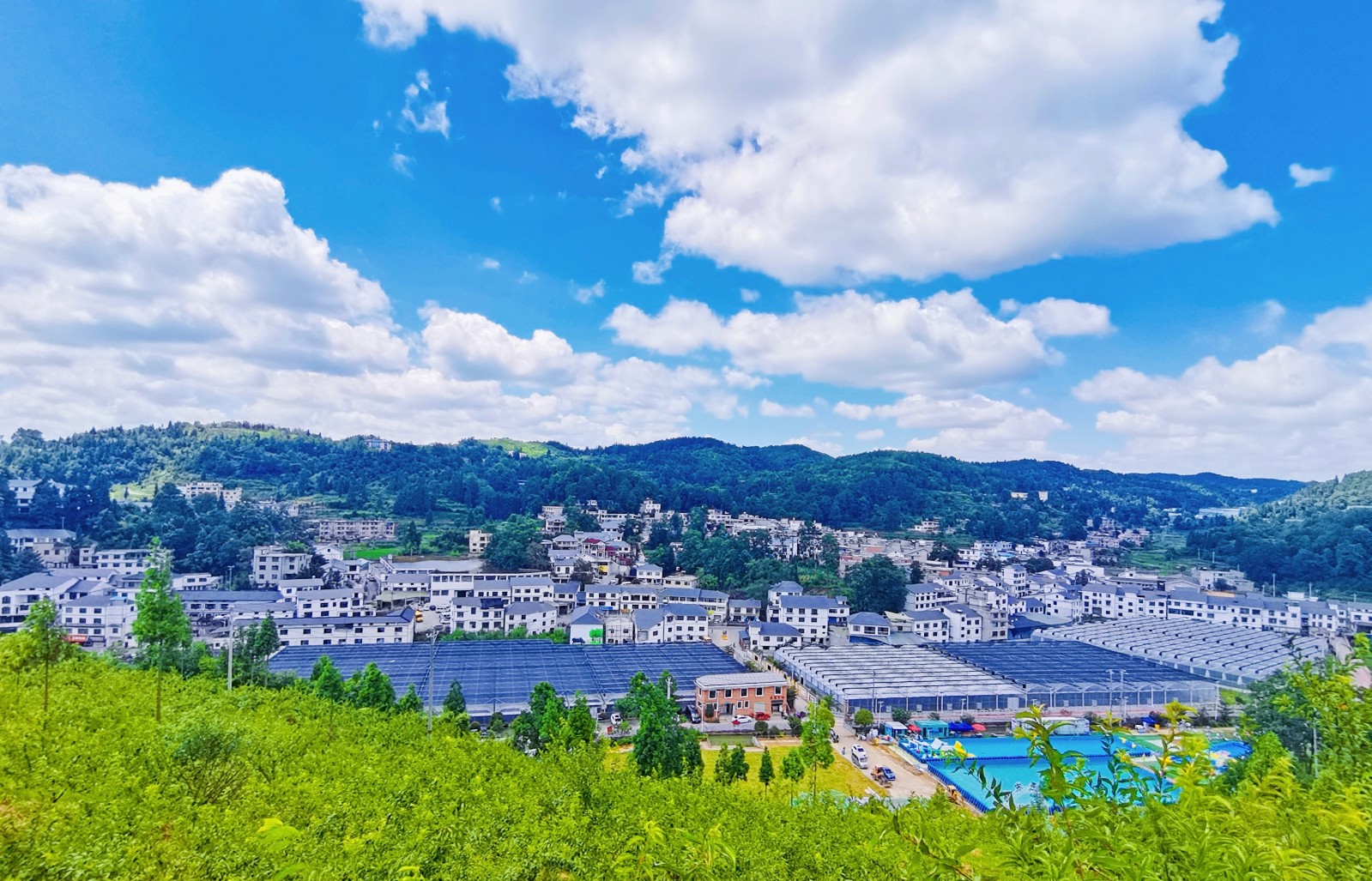 「和美乡村行」观山湖区翁井村:产业兴旺激活乡村振兴"一池春水"