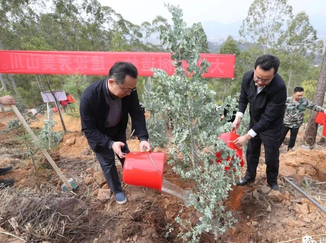 陈敏张爱军戚优华参加义务植树活动,为"世界客都·长寿梅州"再添新绿!