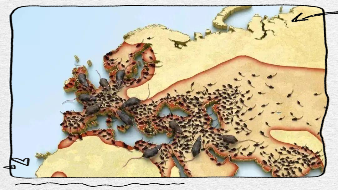 黑死病:中世纪欧洲的瘟疫与多元社会变革