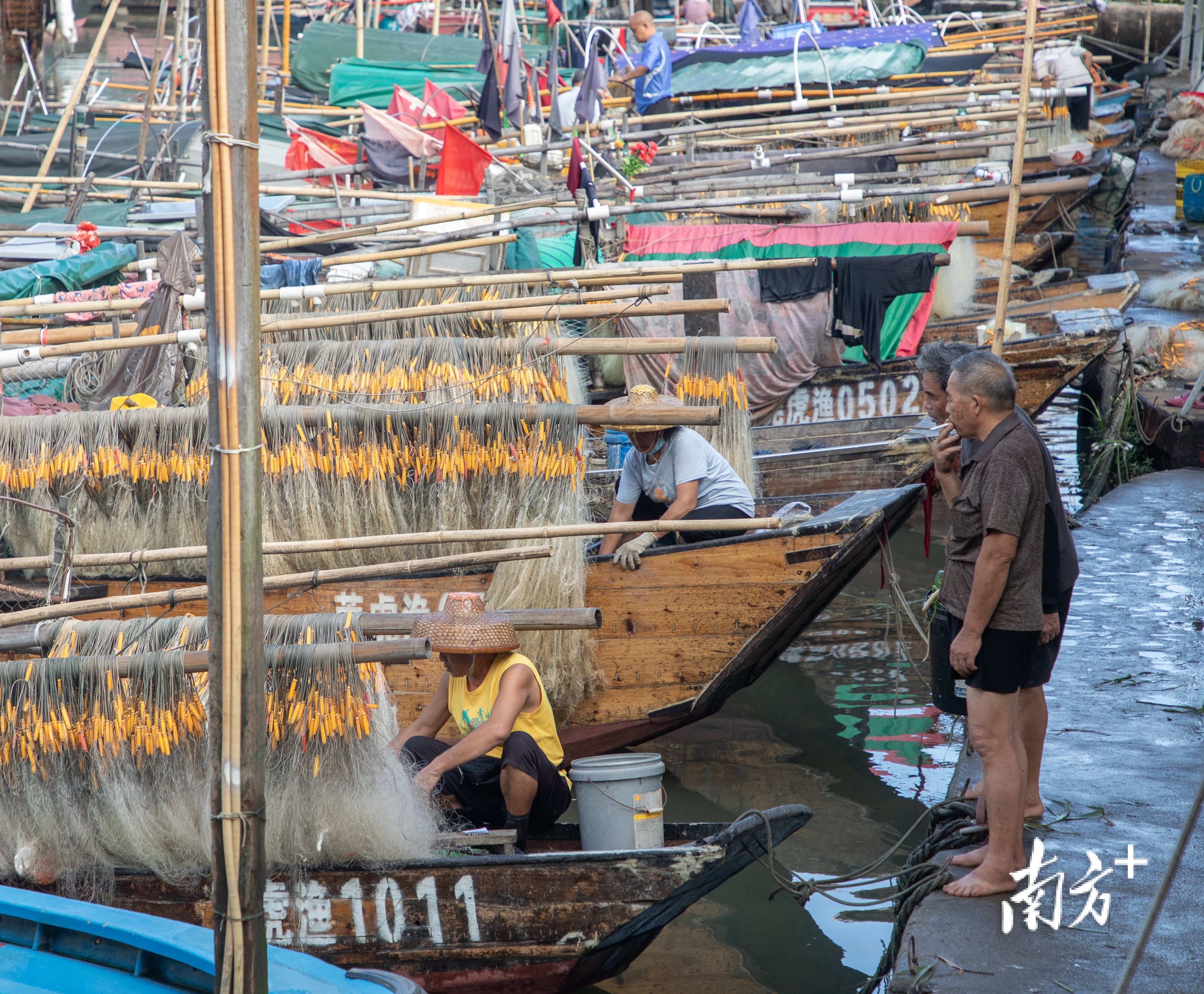 虎门新湾海鲜交易活跃