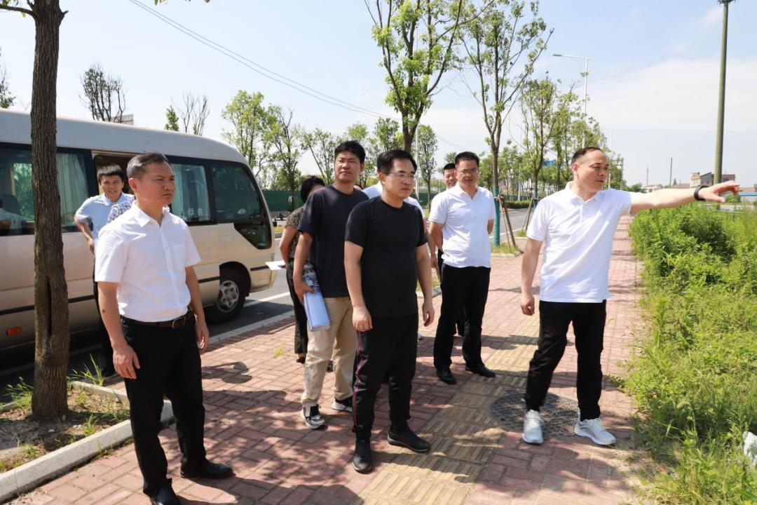 袁一旦杨育星实地察看天祥大道沿线环境综合整治工作