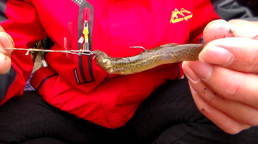 钓鱼也要实名制!重庆率先推出"垂钓码",三类人或大受影响