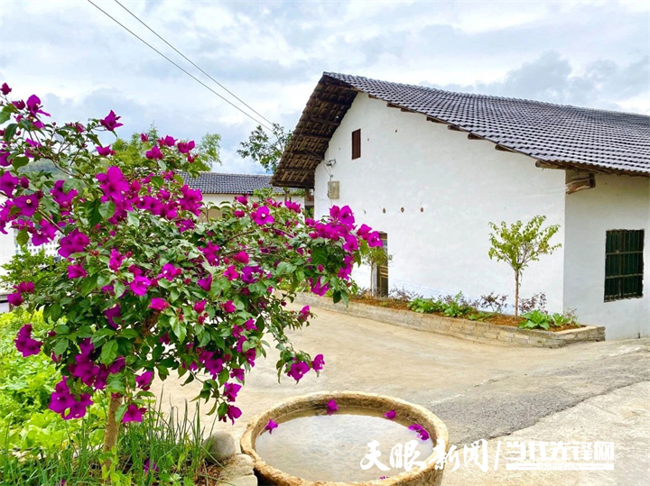 正安县杨兴镇:以"新"唤"兴" 乡村振兴走"新"路