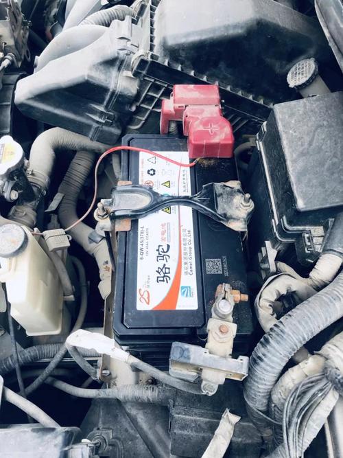 三冠和骆驼的汽车电瓶哪个好