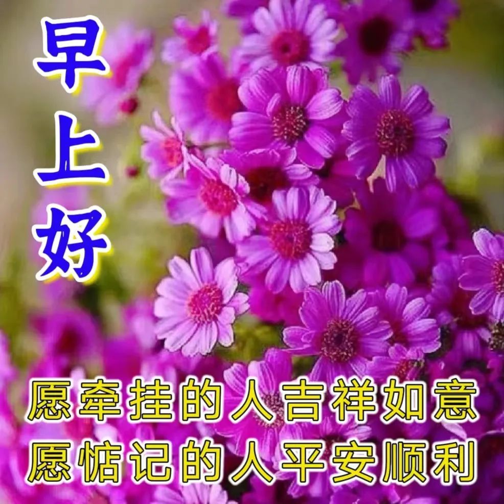 12月28日週三早上好,早安群發祝福圖片帶字帶問候語溫馨暖心