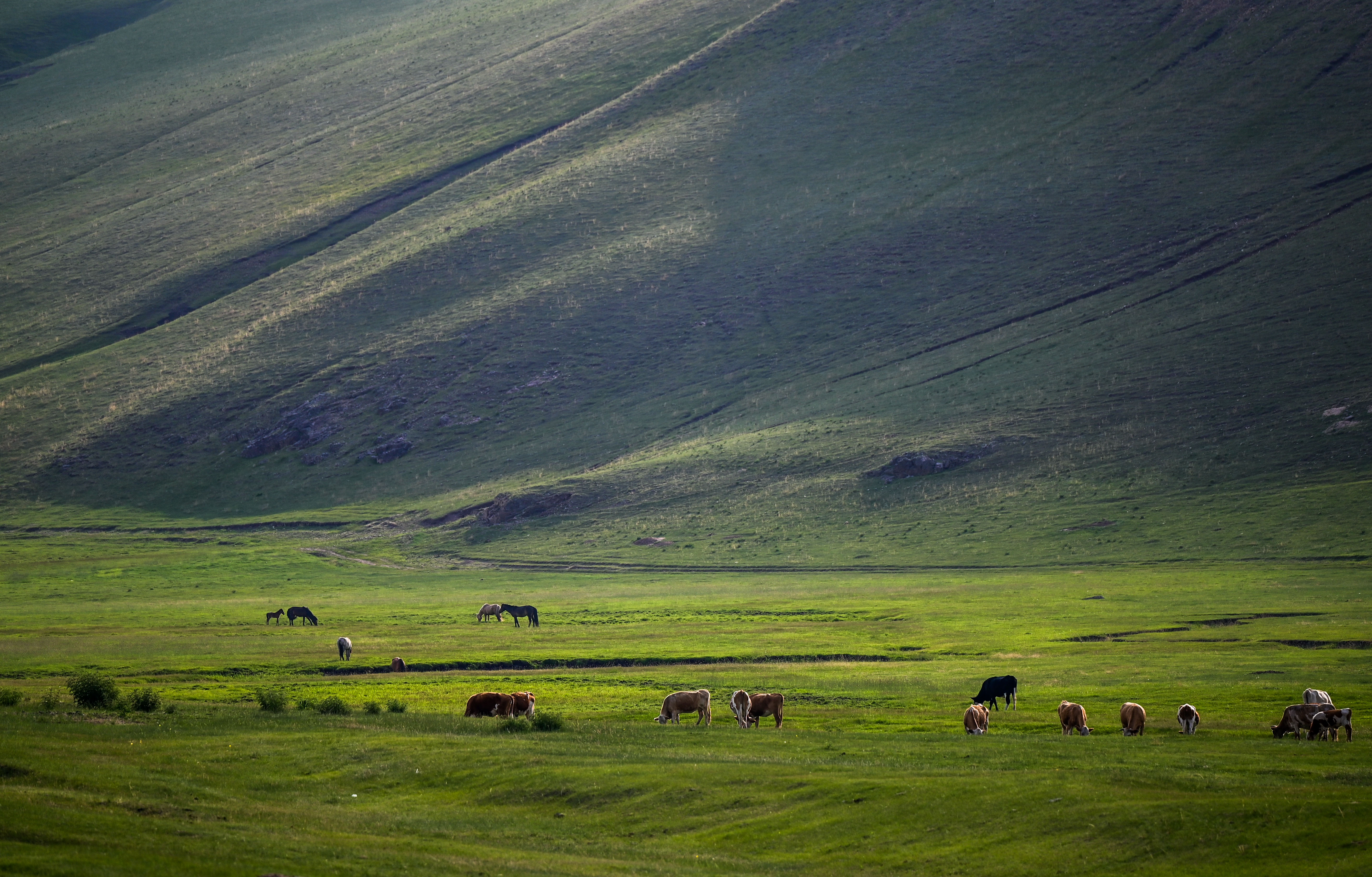 今年的夏天格外热,想念吉勒布的夏天:凉爽,舒适又惬意