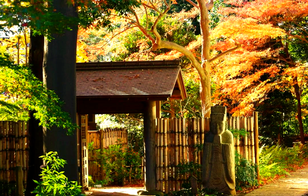 世田谷区:探寻历史与艺术的完美交融