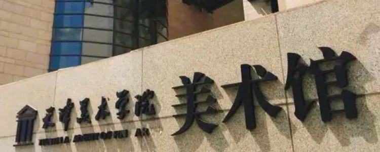 考上天津美院意味着什么_天津考生考天津美院有优势吗