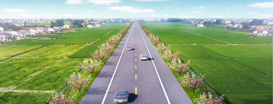 徽州大道南延(庐江段)迎来新进展!