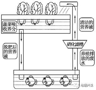 鱼菜共生系统原理图图片