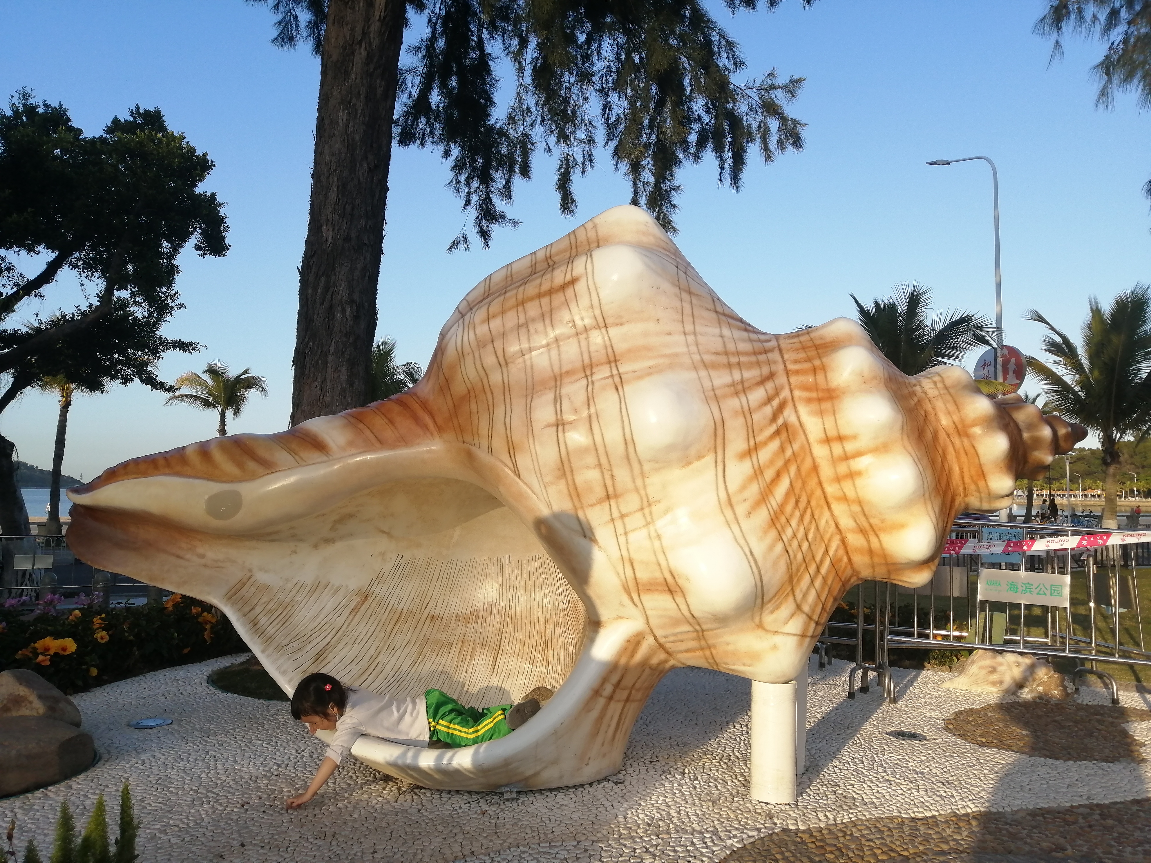 公园里的特大海螺