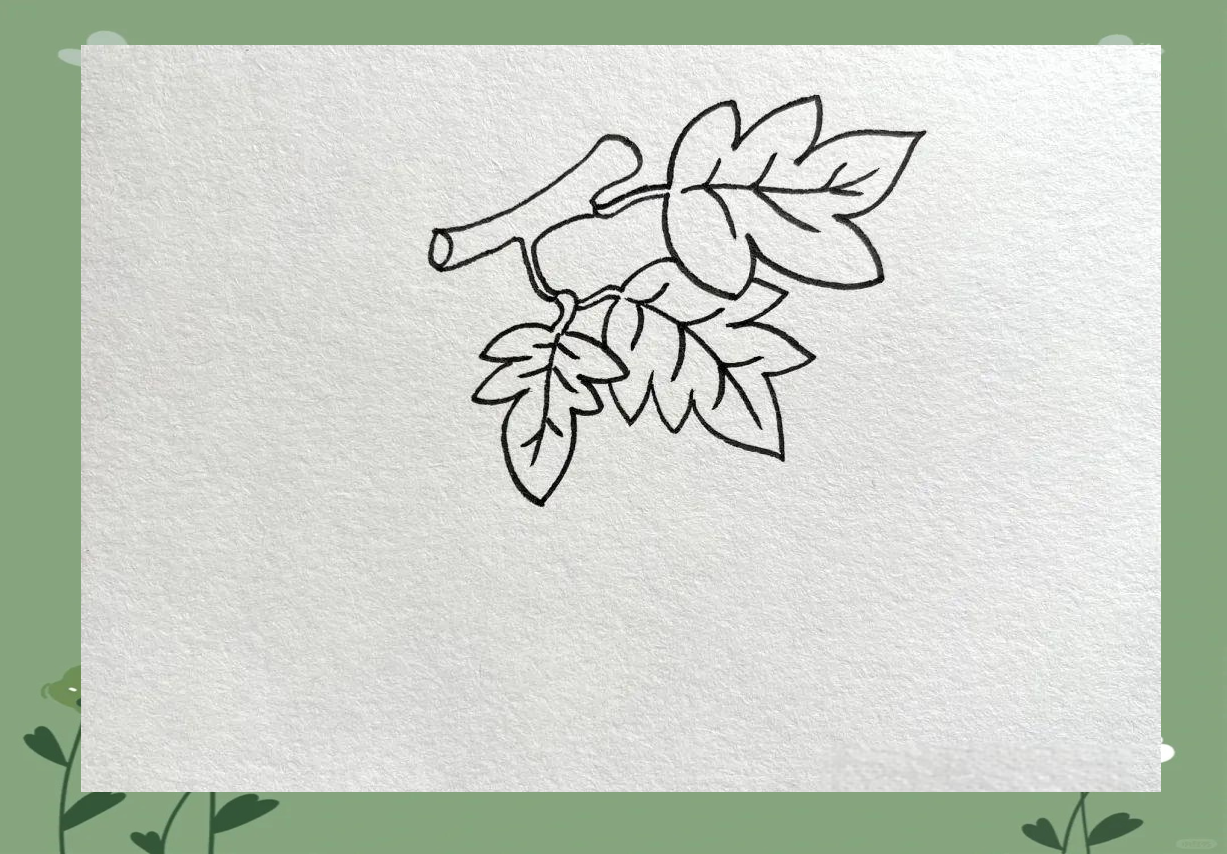 简笔画教程:从零开始学习画葡萄