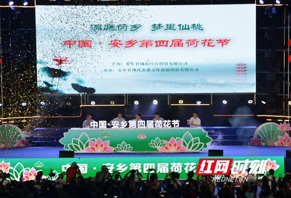 千亩荷开等你来!2020年中国安乡第四届荷花节启幕