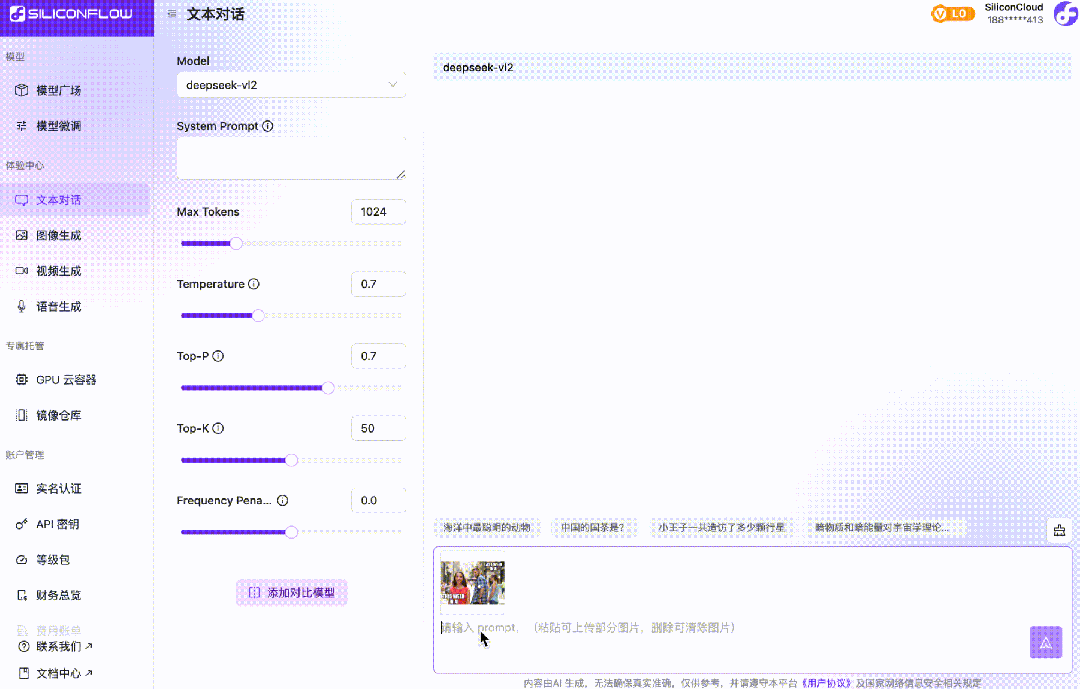  x siliconcloud deepseek vl2