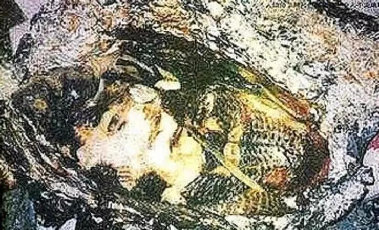 长着一张人脸的狗(人面犬)-日本惊悚都市传说