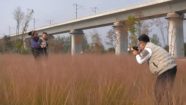 河南郏县:湿地公园风光好 生态美景展新貌