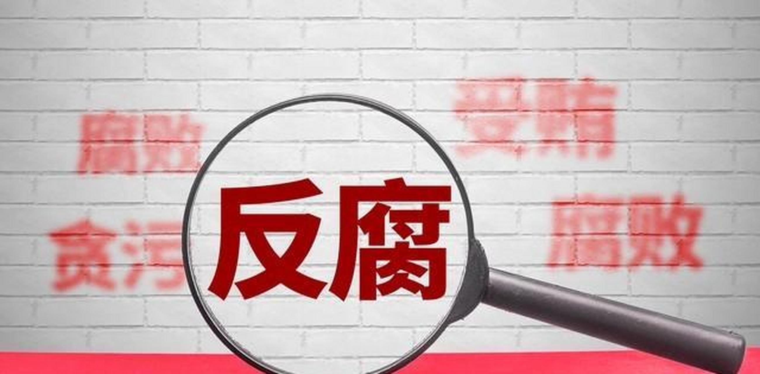 前言 法网恢恢,疏而不漏!