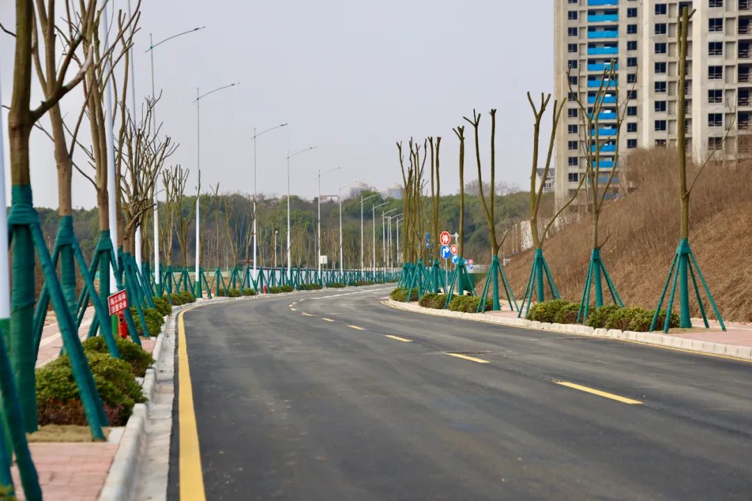 望城两条新路即将上线在线等候的朋友赶紧来接收吧