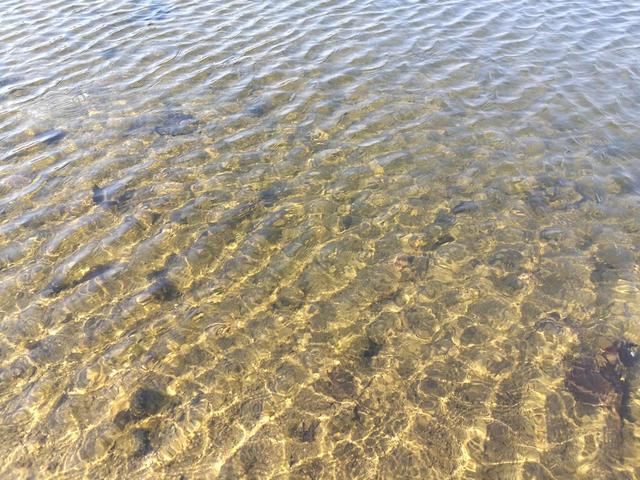 美丽的冬日家乡 清清的河水