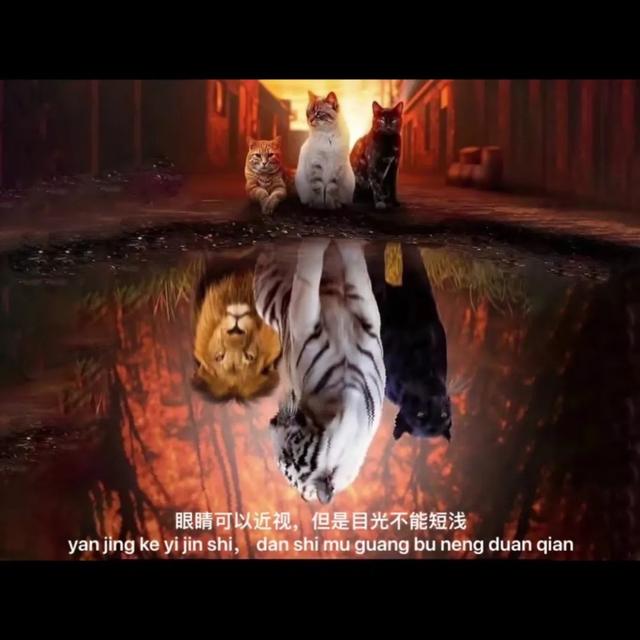 抖音怎么截壁纸=抖音怎么截壁纸图片