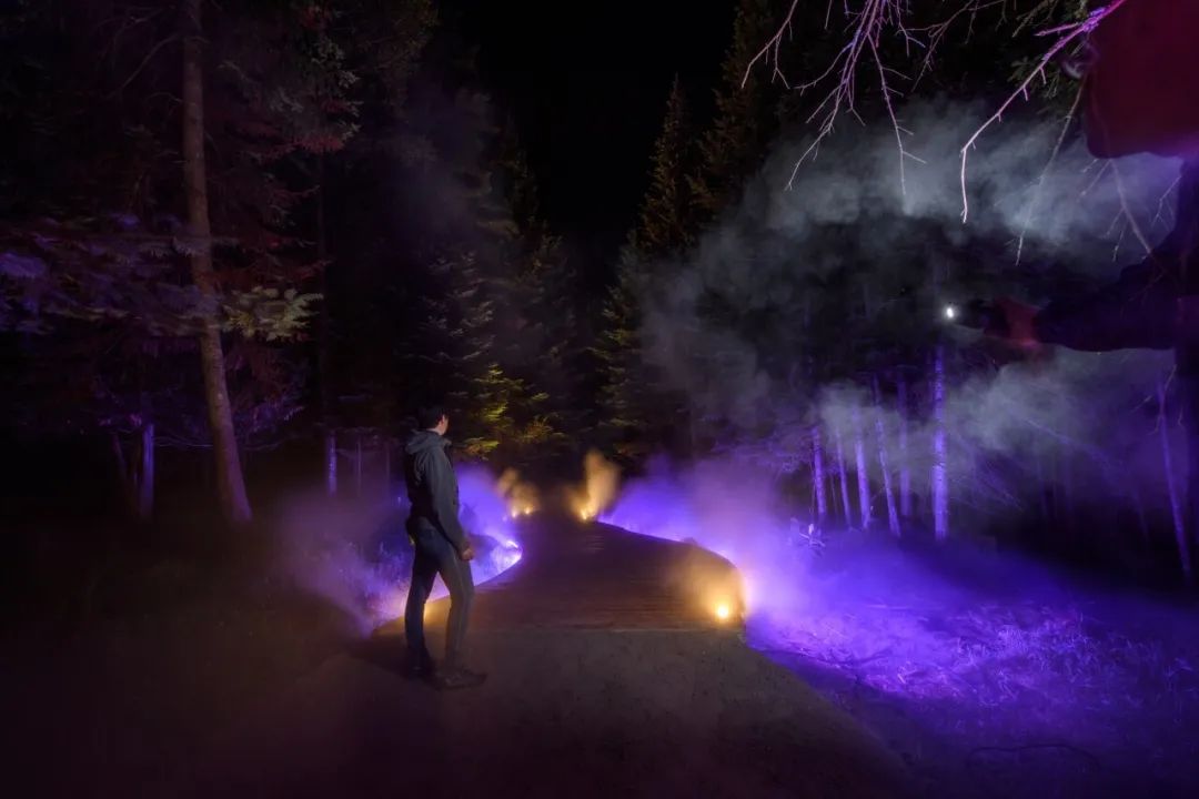 《哈利·波特:禁林体验》户外森林中的夜间沉浸式体验