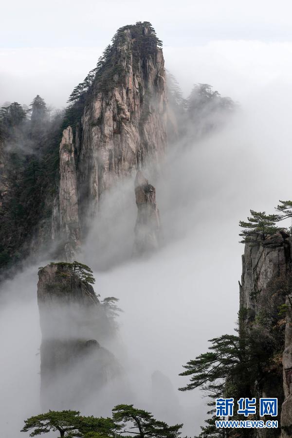 雨中云雾缭绕的黄山图片