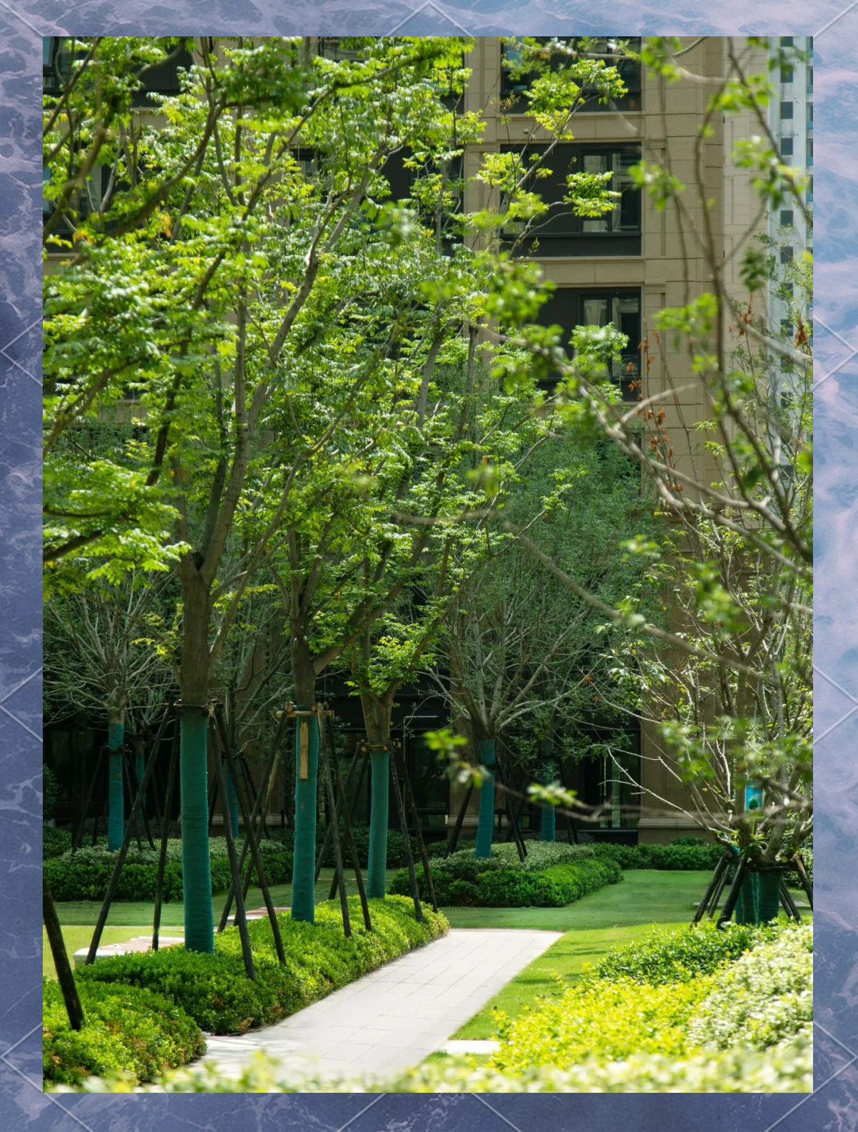 绿城回归郑州,明月滨河颜值与细节成亮点