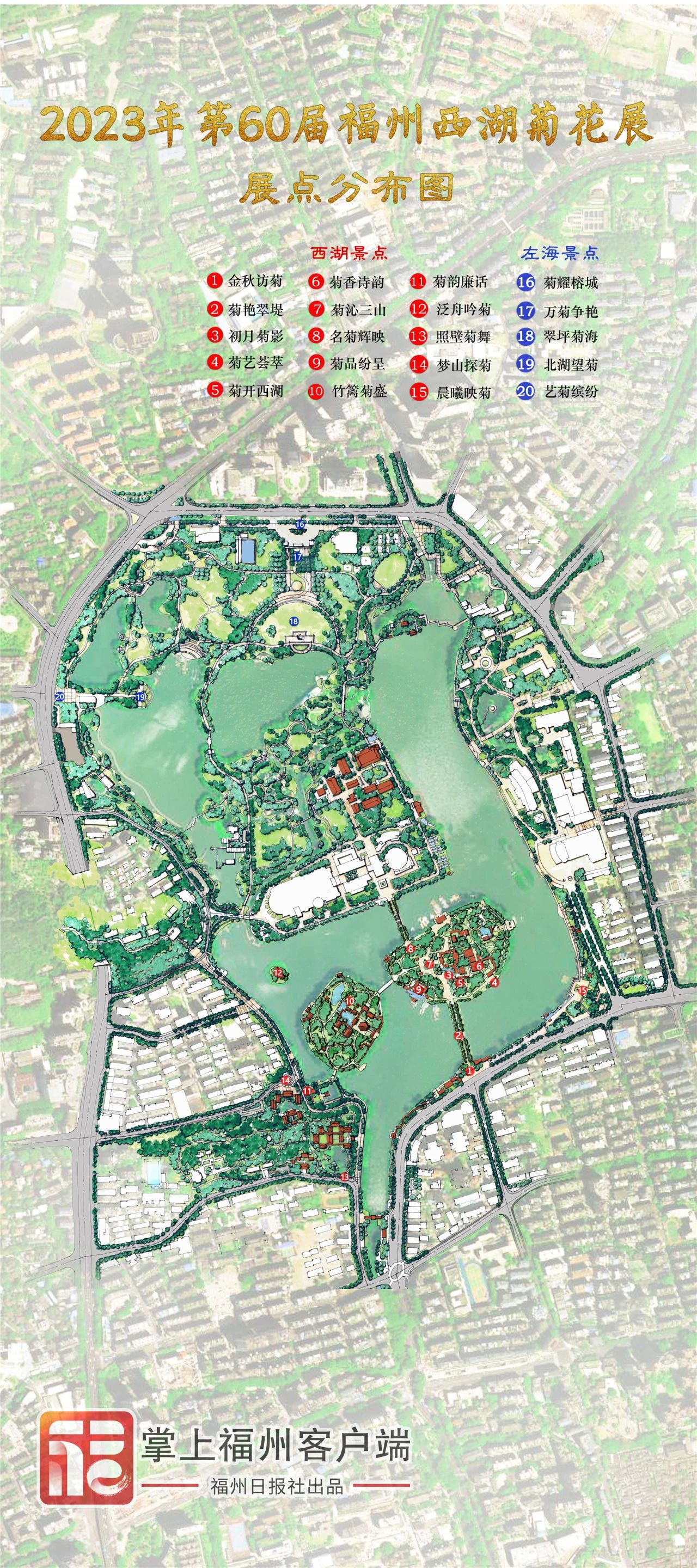 福州西湖菊花展来了!共赏秋花烂漫