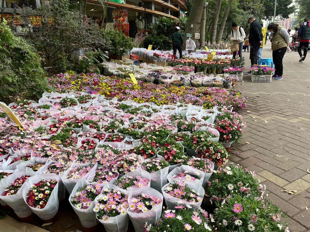 广州海珠区花市图片