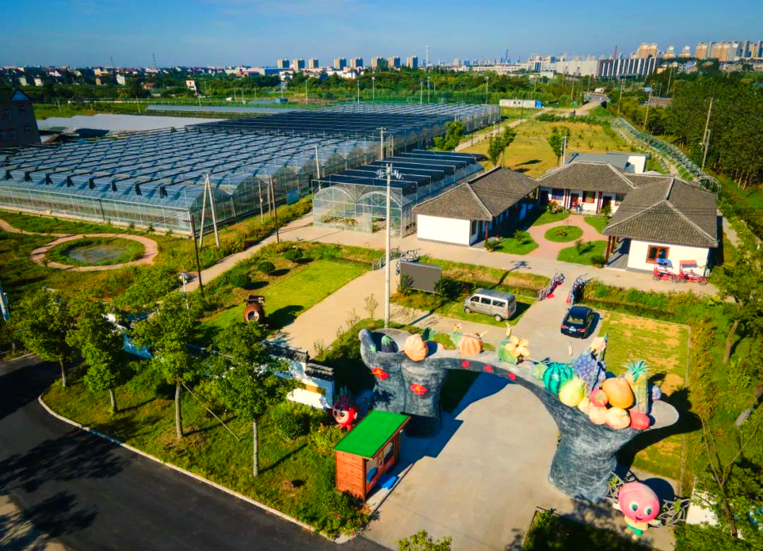 平湖市妙农家庭农场:践行绿色发展,打造多彩生态农业