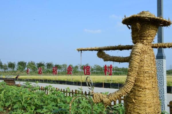 津南区小站镇会馆村:稻田绘"丰"景乡村入画来