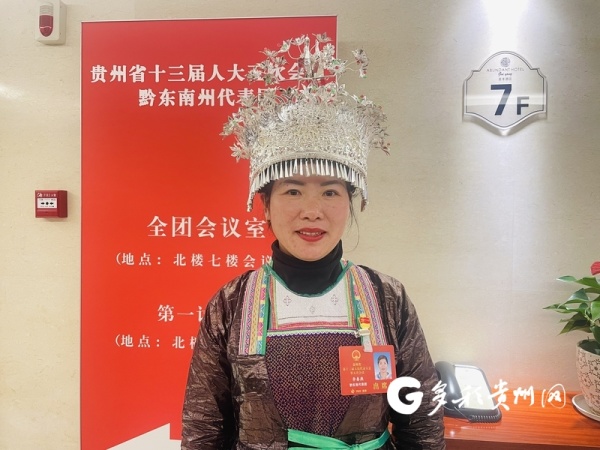 「履职故事」贵州省人大代表李春燕:省地联动 打造贵州侗乡大健康产业